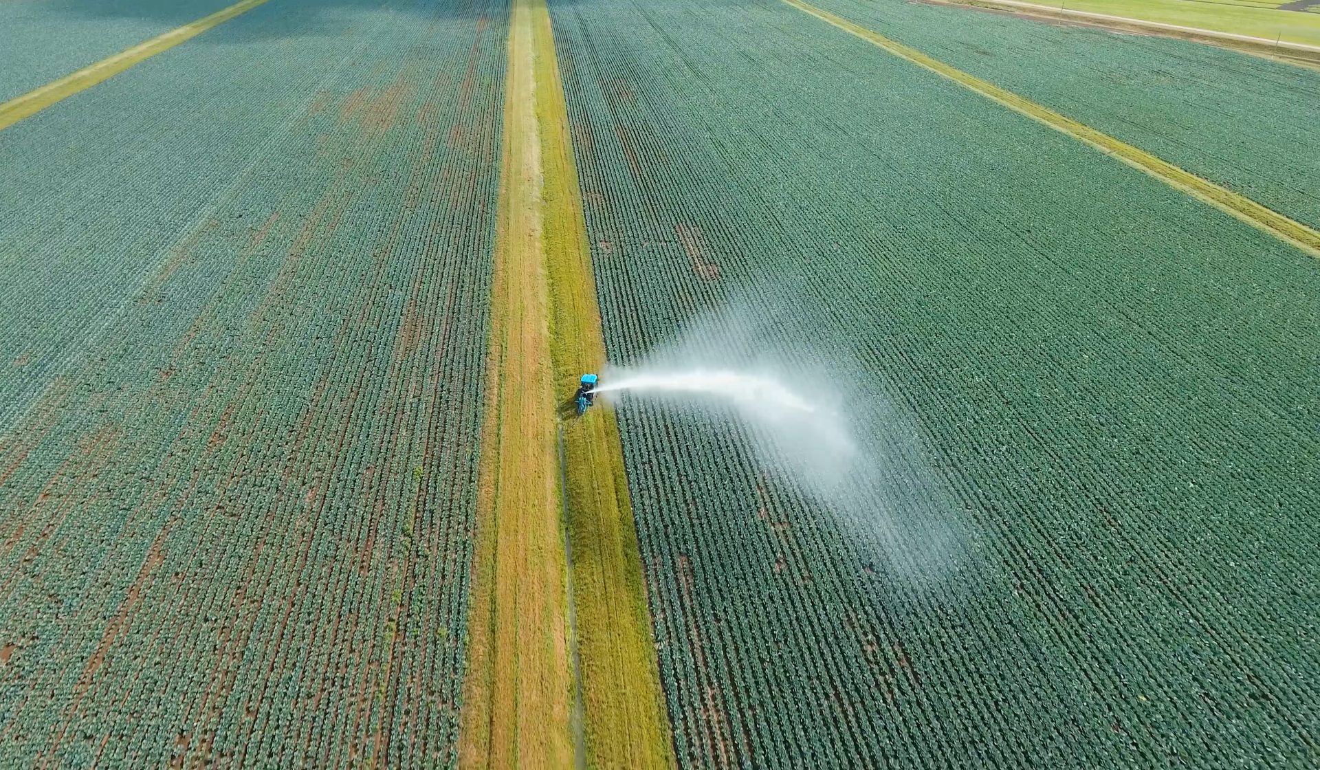 Agronegócio é responsável por quase 1/3 do PIB do País