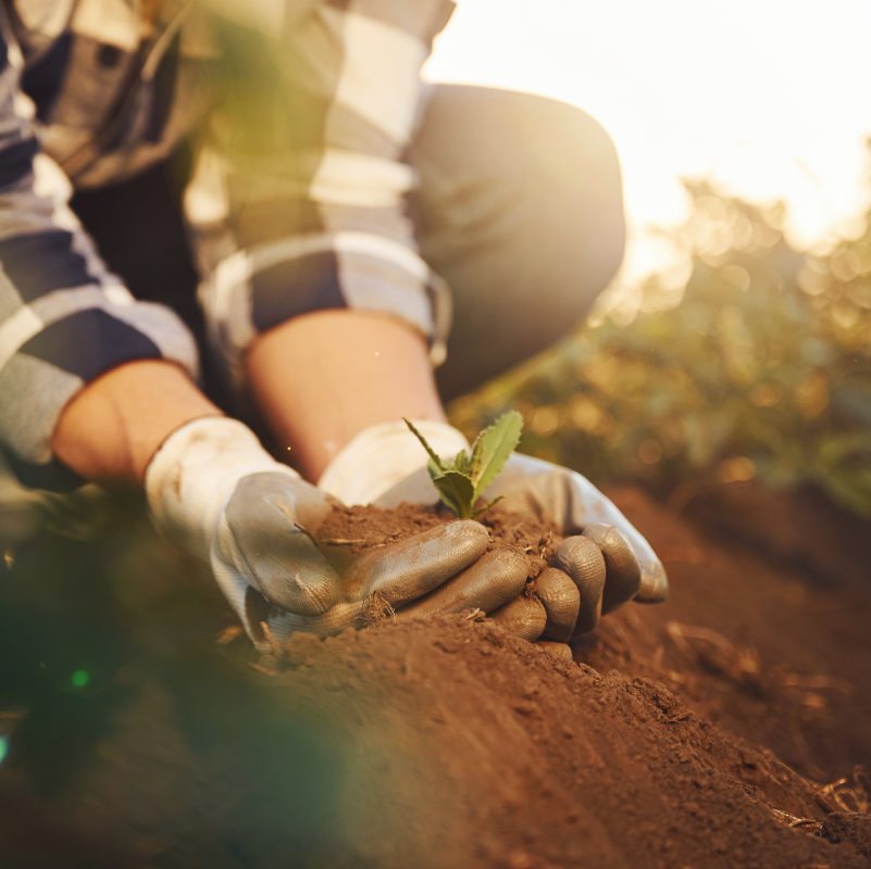 O que esperar do Agro em 2023?