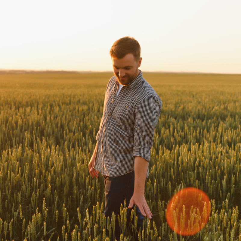Quais os principais desafios do fazendeiro atual?