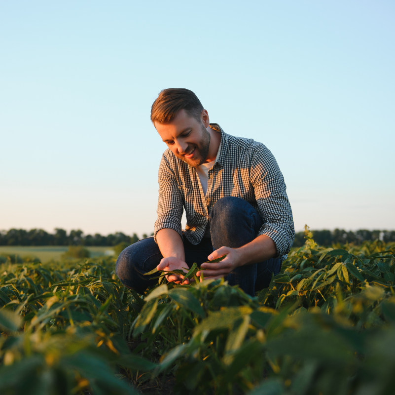 A produção de grãos no Brasil segue firme em 2023, apesar dos desafios enfrentados pelo setor agrícola