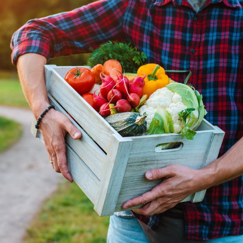 A média do Índice de Preços de Alimentos da FAO caiu 2,1% em março