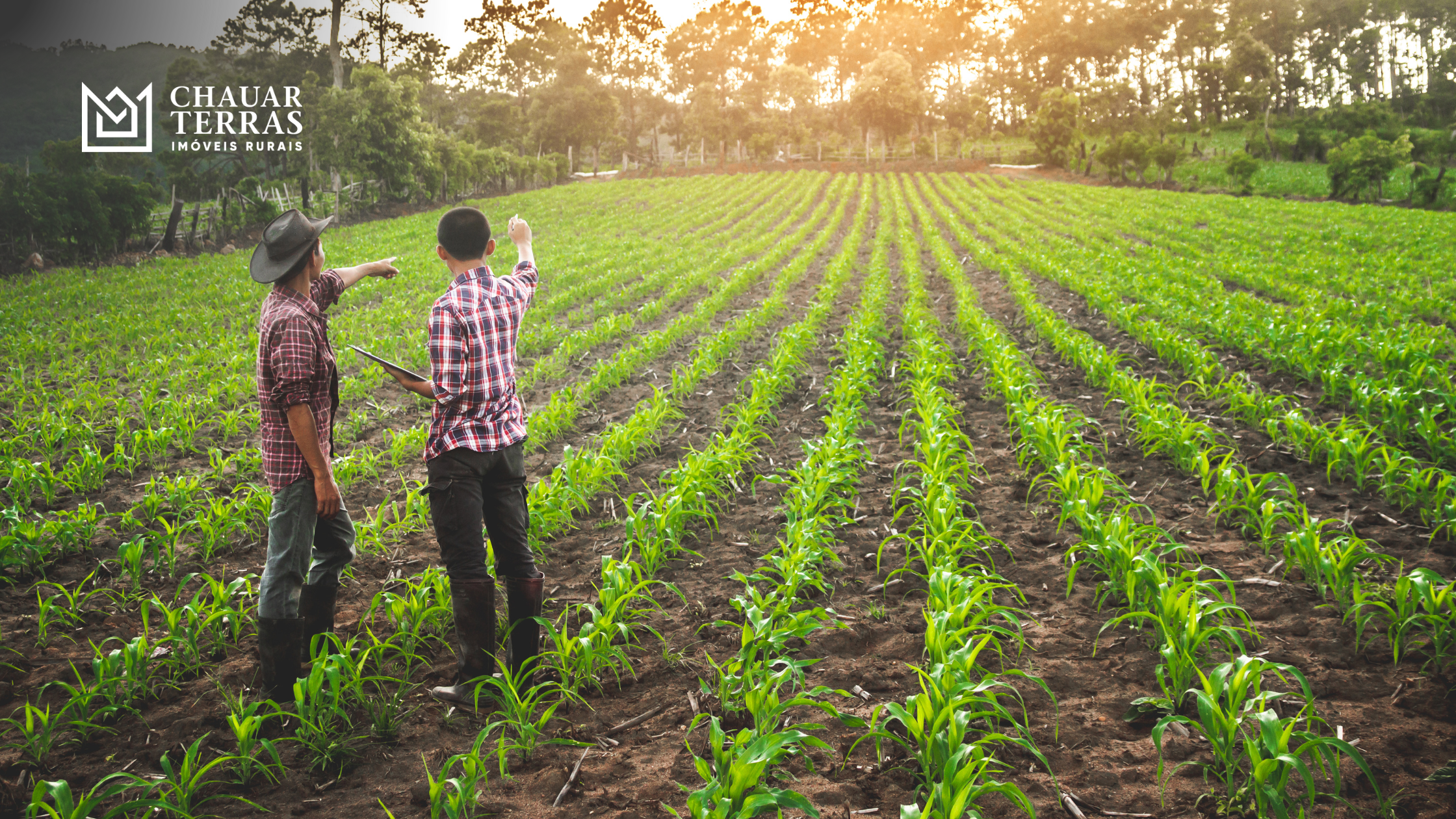 Desbravando o Mercado de Terras em 2023 