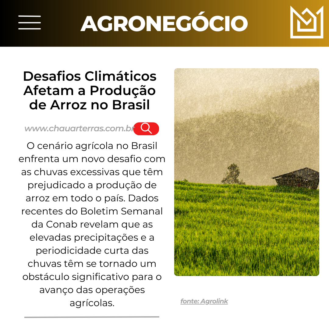 Desafios Climáticos Afetam a Produção de Arroz no Brasil