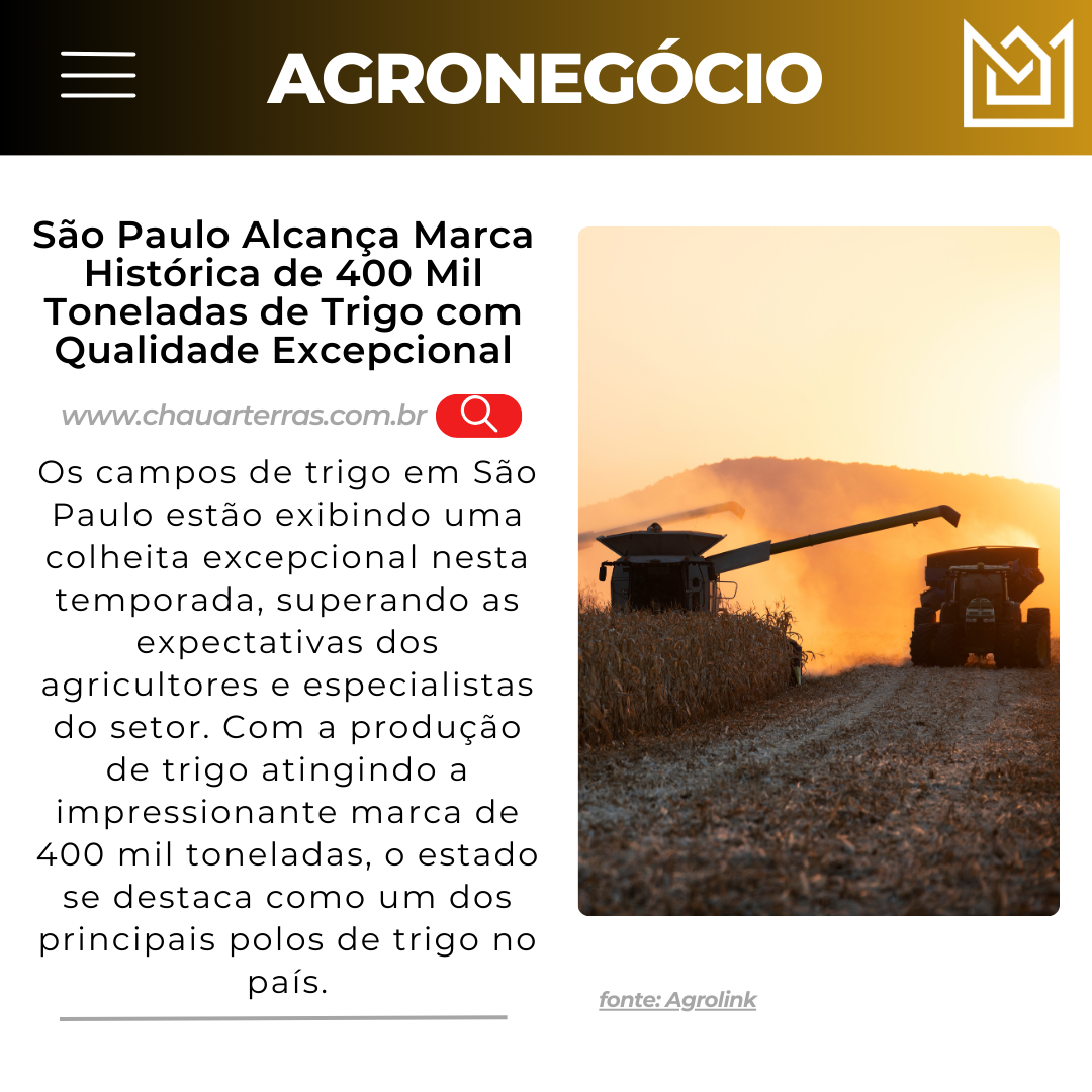 São Paulo Alcança Marca Histórica