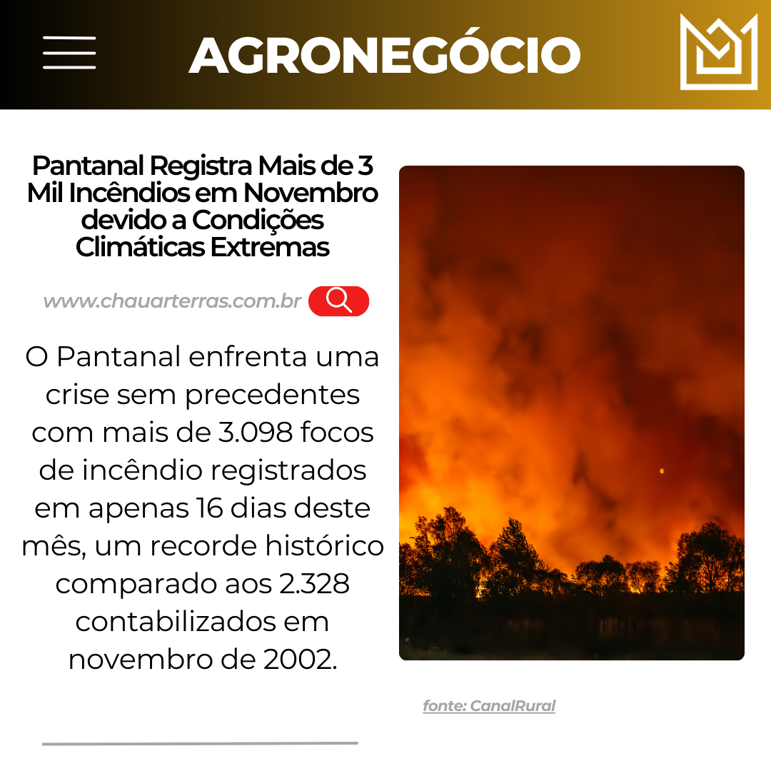 Pantanal Registra Mais de 3 Mil Incêndios em Novembro devido a Condições Climáticas Extremas