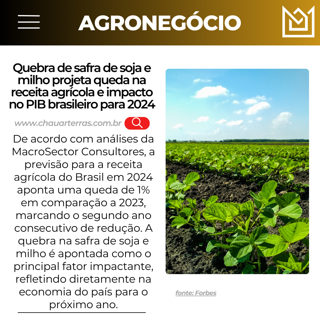 Quebra de safra de soja e milho projeta queda na receita agrícola e impacto no PIB brasileiro para 2024