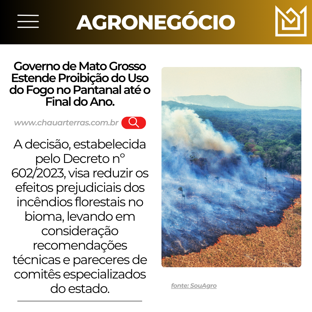 Governo de Mato Grosso Estende Proibição do Uso do Fogo no Pantanal até o Final do Ano