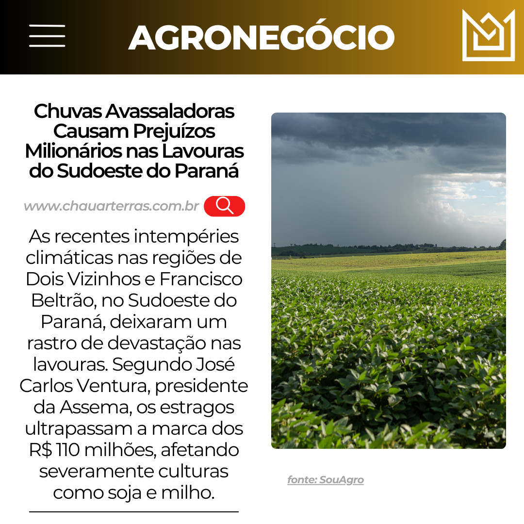 Chuvas Avassaladoras Causam Prejuízos Milionários nas Lavouras do Sudoeste do Paraná