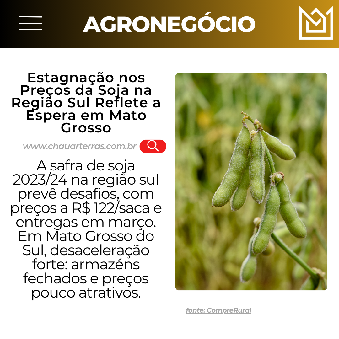  Estagnação nos Preços da Soja na Região Sul Reflete a Espera em Mato Grosso