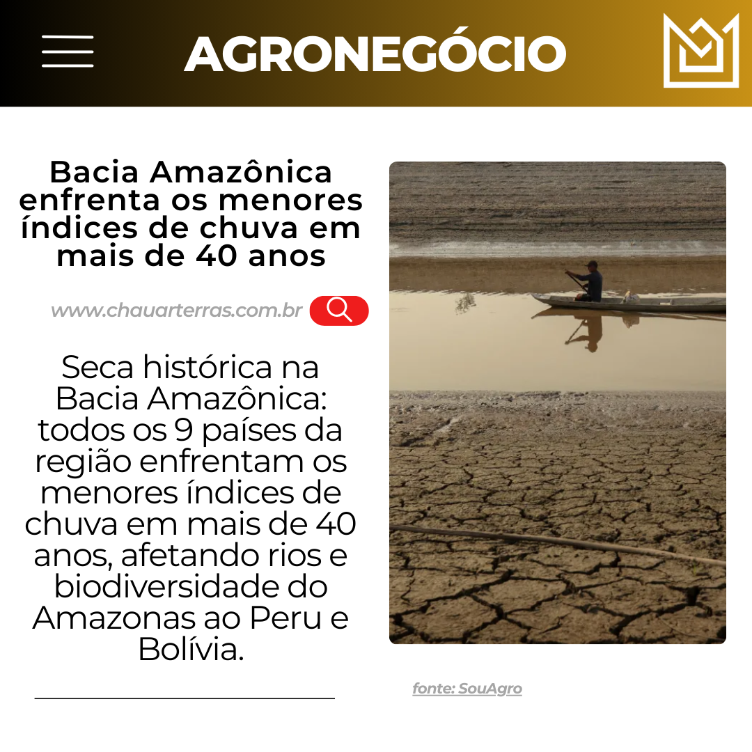 Situação de emergência: Bacia Amazônica enfrenta os menores índices de chuva em mais de 40 anos