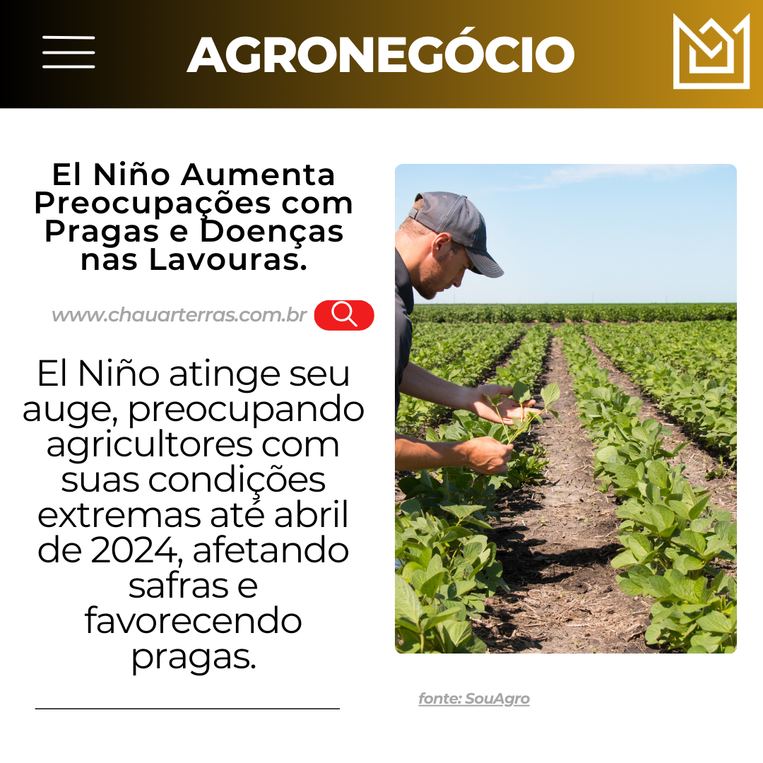 El Niño Aumenta Preocupações com Pragas e Doenças nas Lavouras