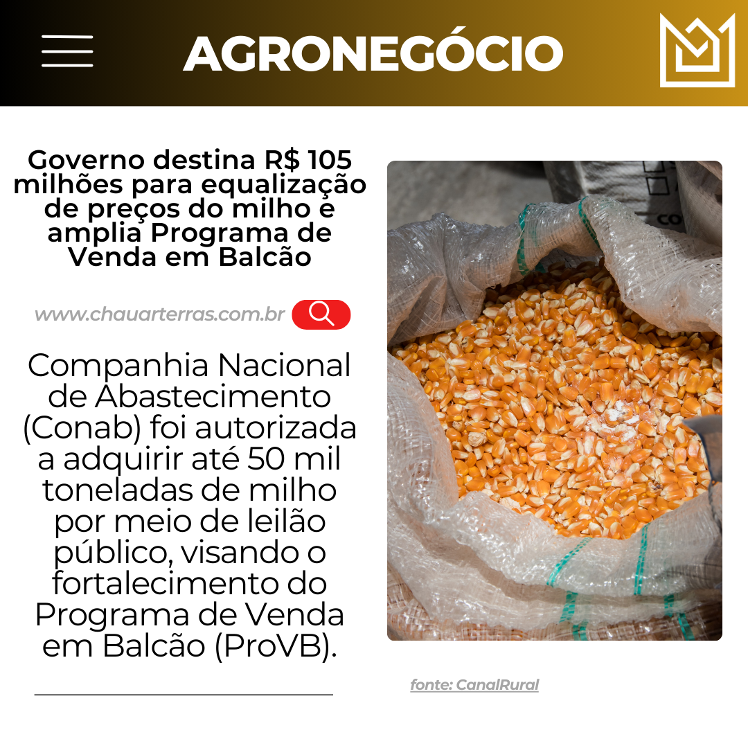 Governo destina R$ 105 milhões para equalização de preços do milho e amplia Programa de Venda em Balcão