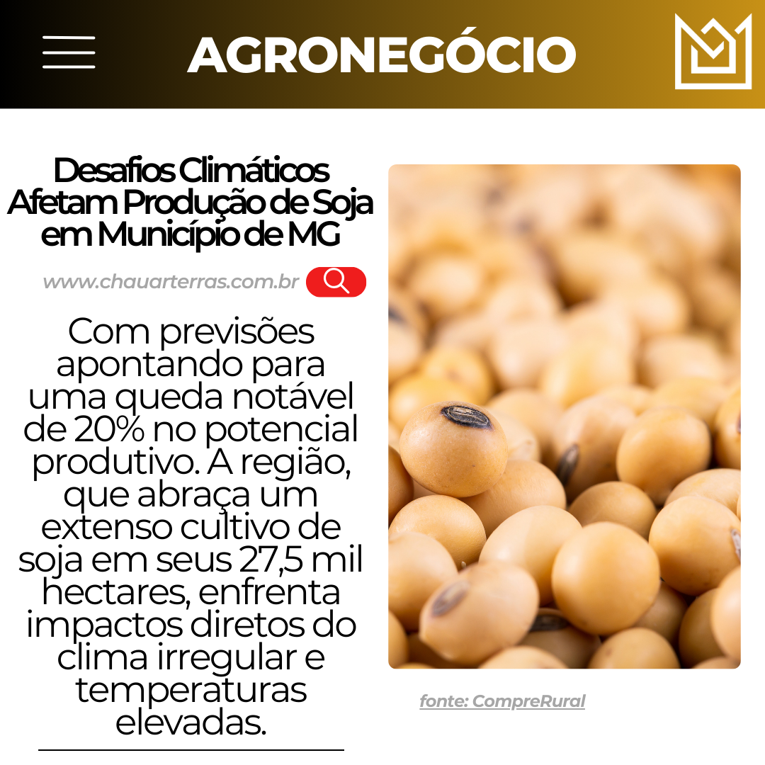 Desafios Climáticos Afetam Produção de Soja em Município de MG