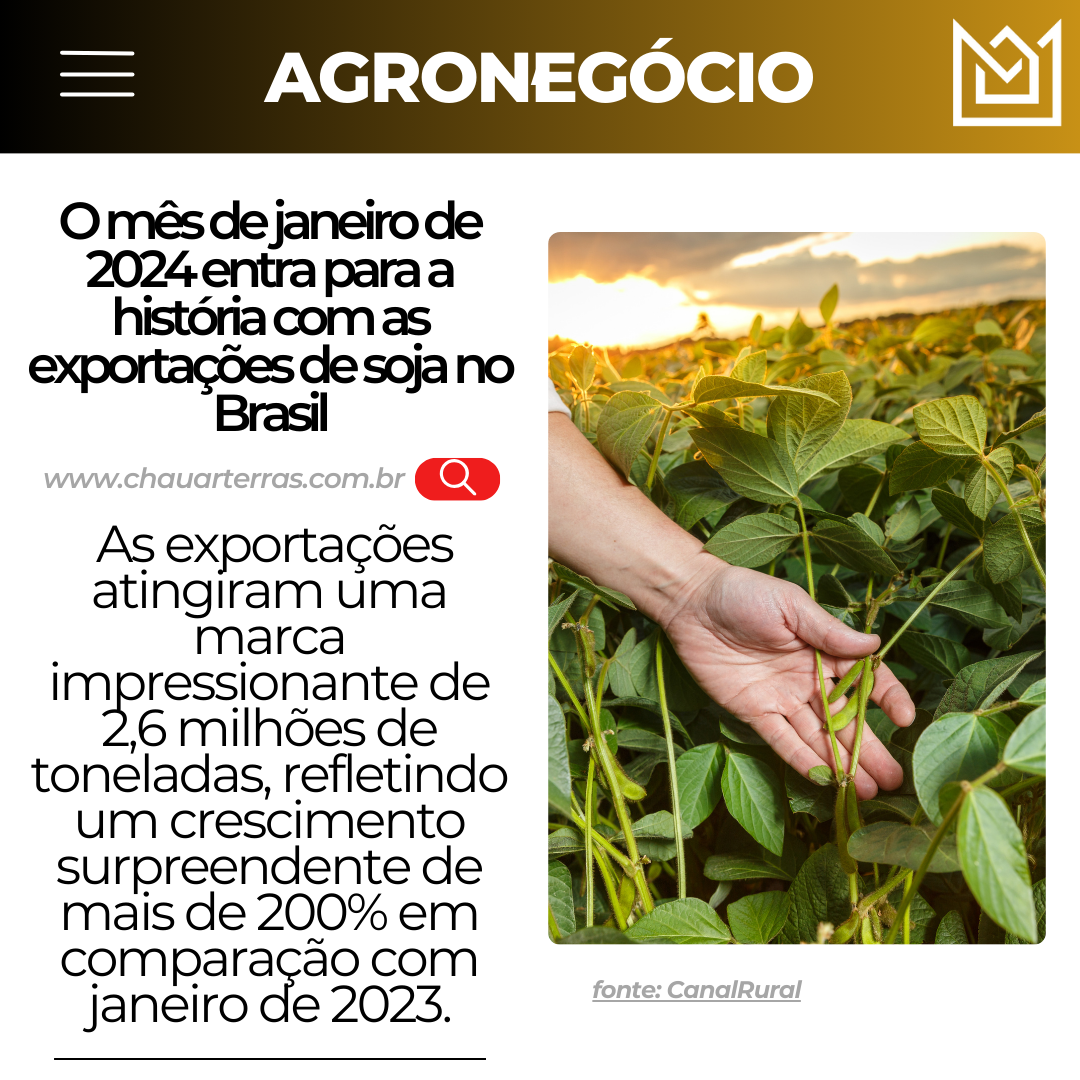O mês de janeiro de 2024 entra para a história com as exportações de soja no Brasil