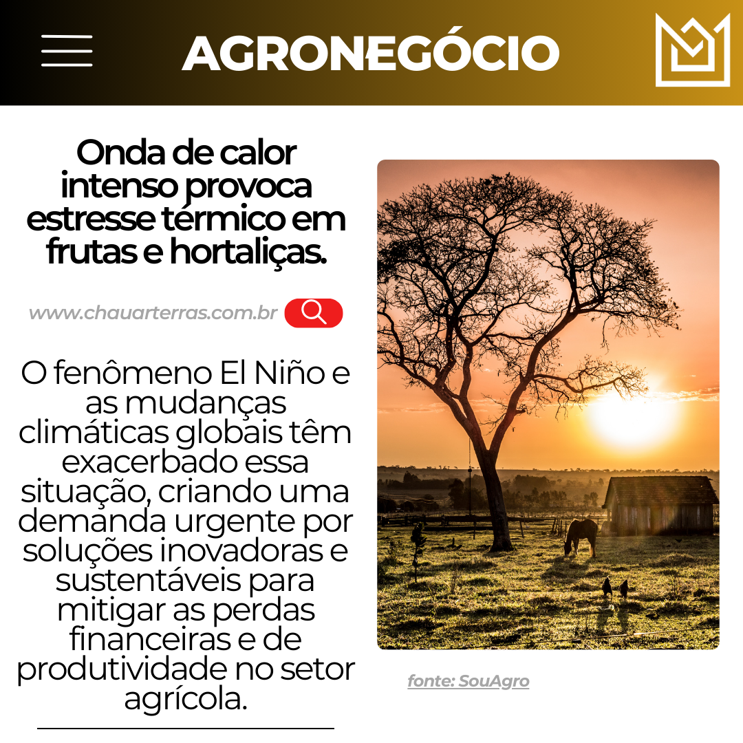 Onda de calor intenso provoca estresse térmico em frutas e hortaliças.
