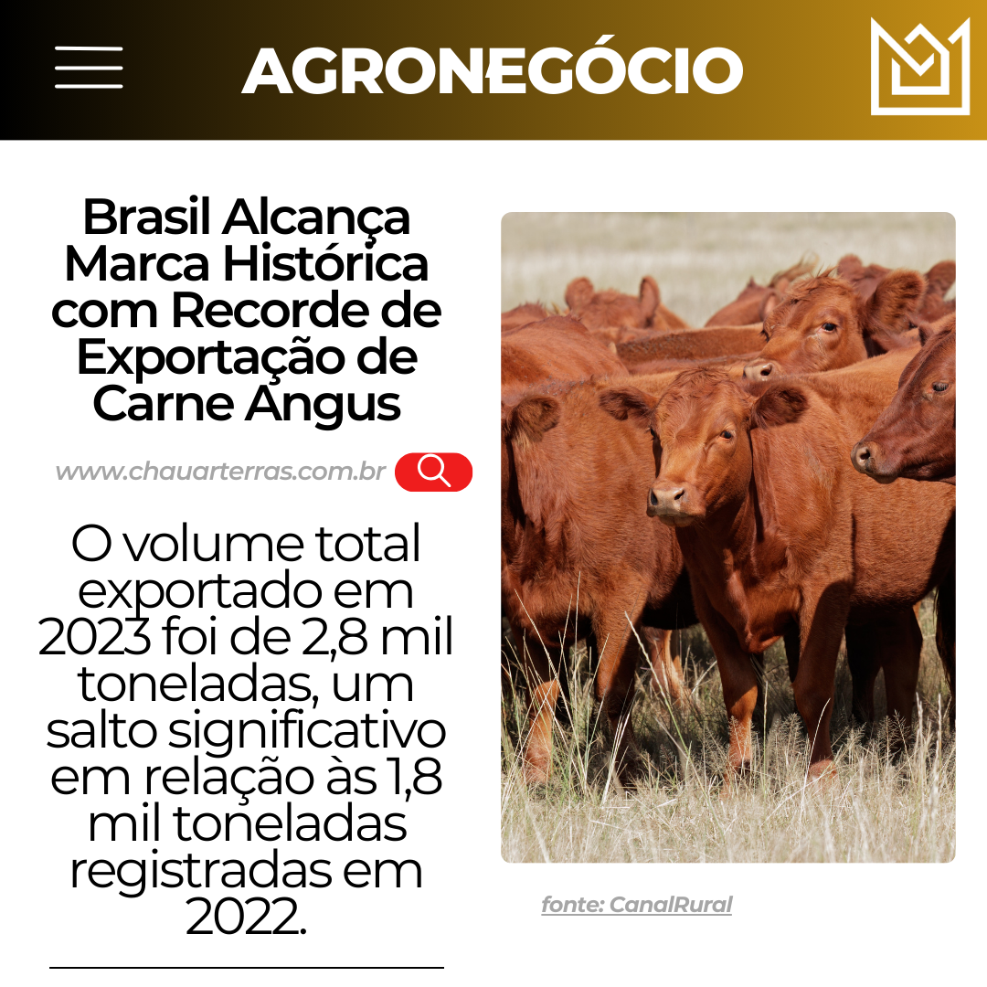 Brasil Alcança Marca Histórica com Recorde de Exportação de Carne Angus
