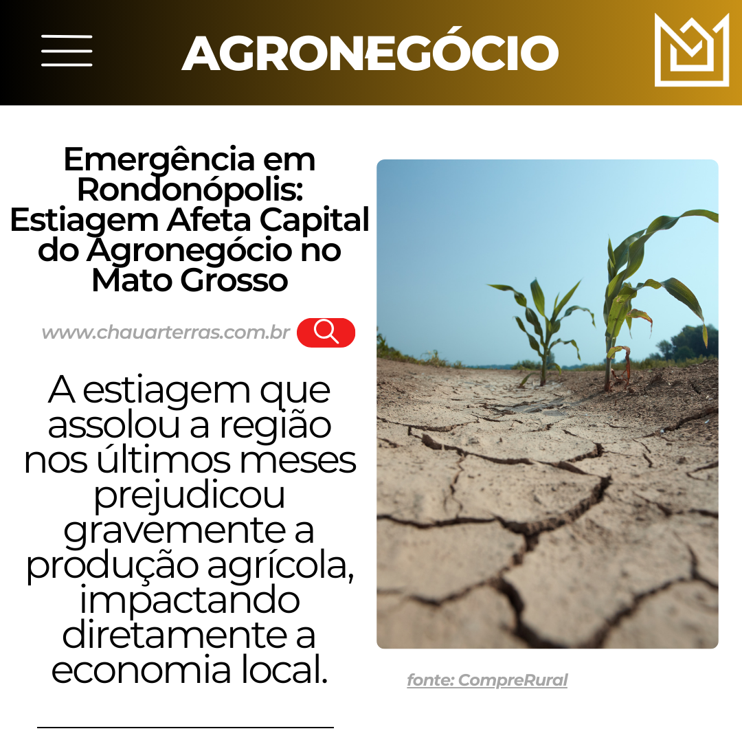 Emergência em Rondonópolis: Estiagem Afeta Capital do Agronegócio no Mato Grosso
