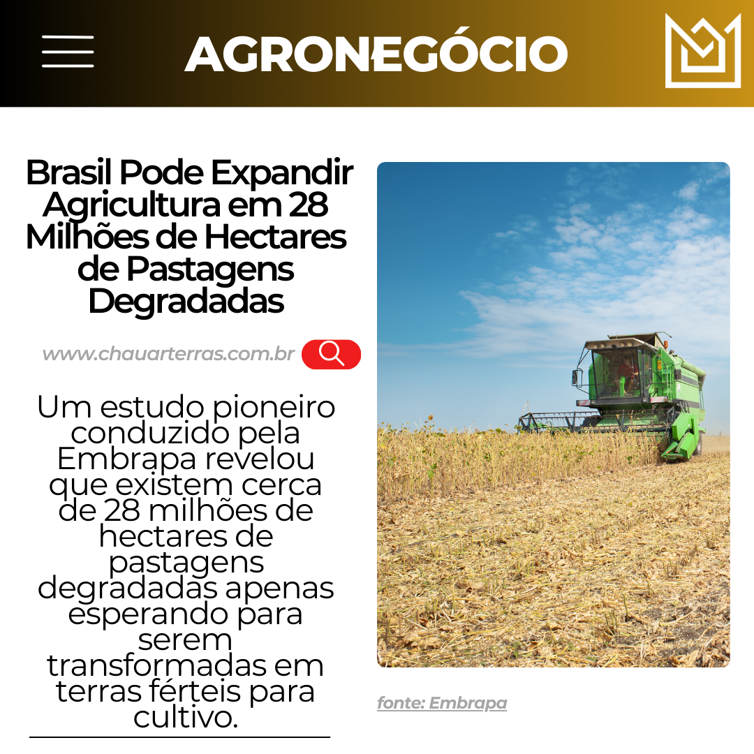 Brasil Pode Expandir Agricultura em 28 Milhões de Hectares de Pastagens Degradadas