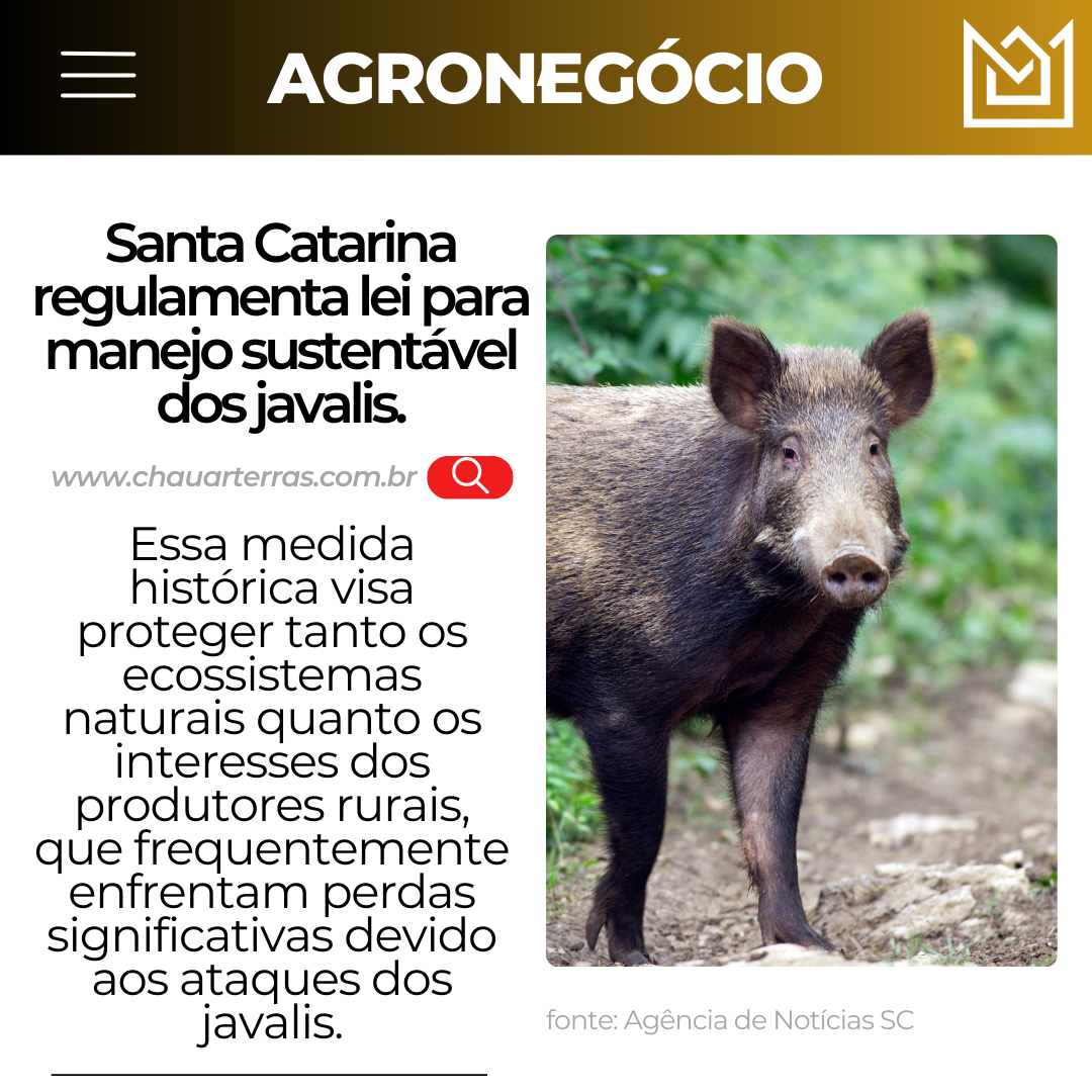 Santa Catarina regulamenta lei para manejo sustentável dos javalis