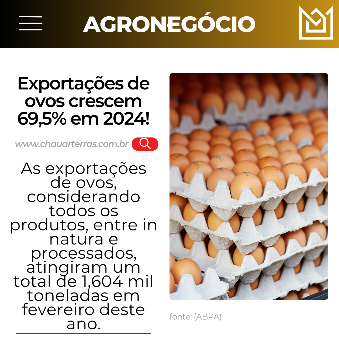 Exportações de ovos crescem 69,5% em 2024