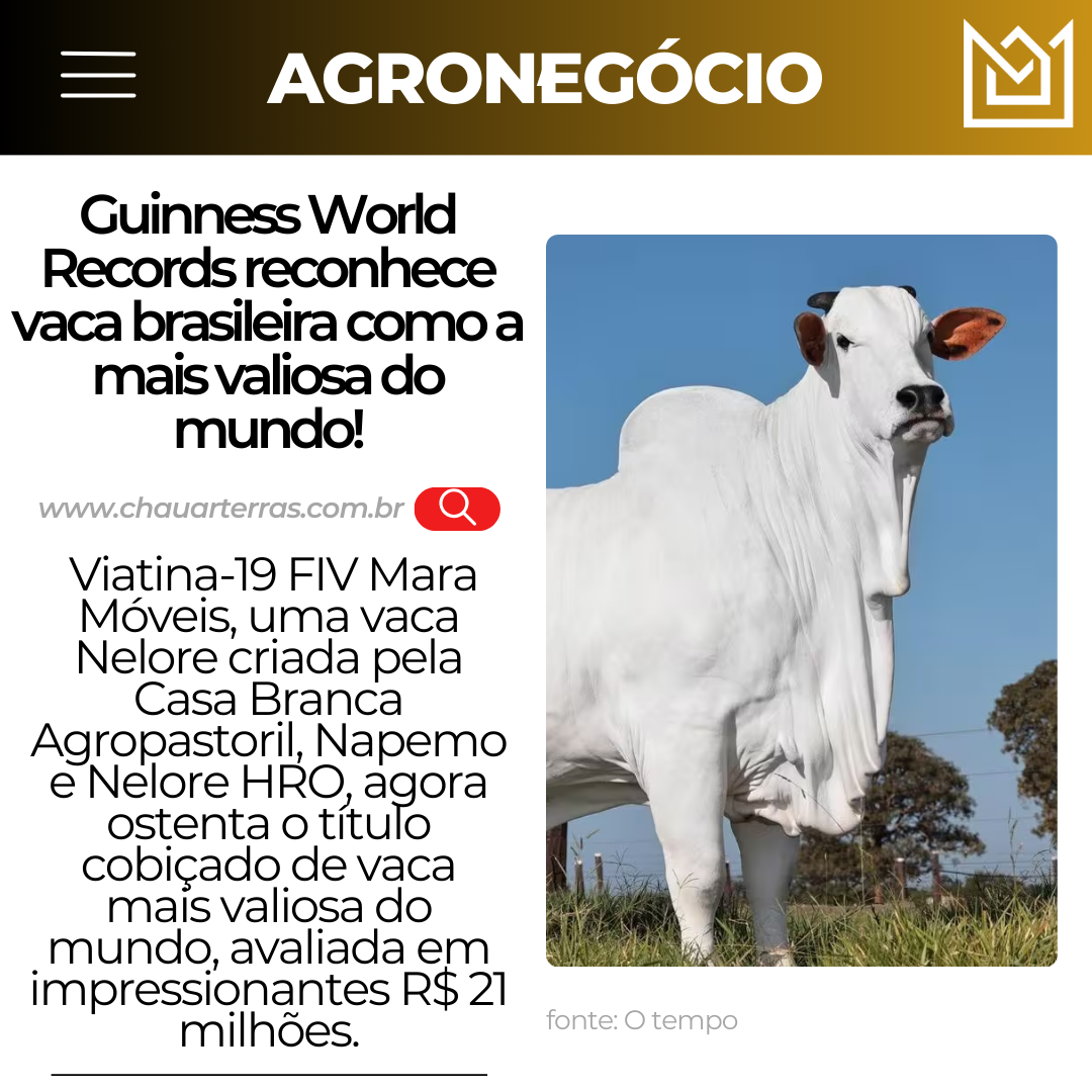 Guinness World Records reconhece vaca brasileira como a mais valiosa do mundo