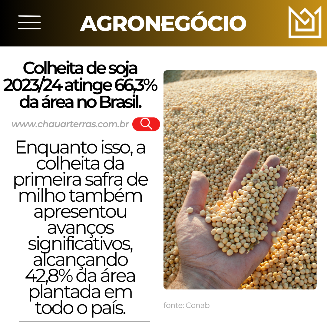 Colheita de soja 2023/24 atinge 66,3% da área no Brasil