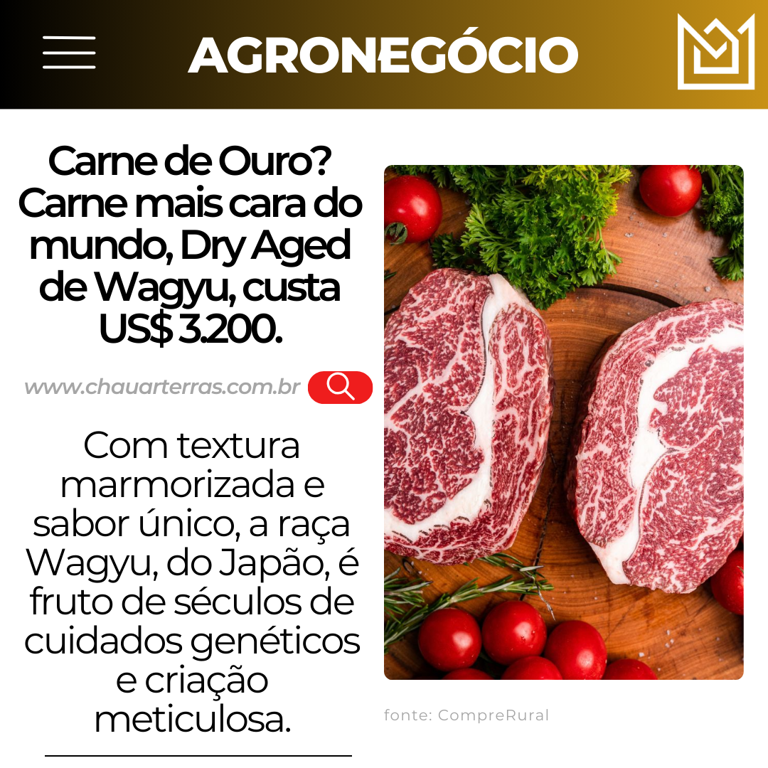 Carne de Ouro? Carne mais cara do mundo, Dry Aged de Wagyu, custa US$ 3.200.