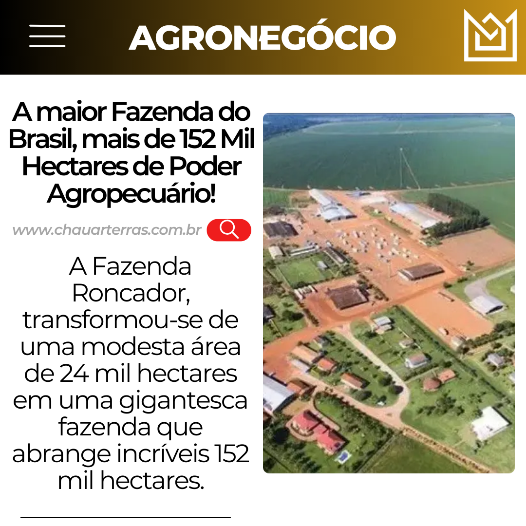 O Futuro da Pecuária: Contagem de Bovinos com Drones