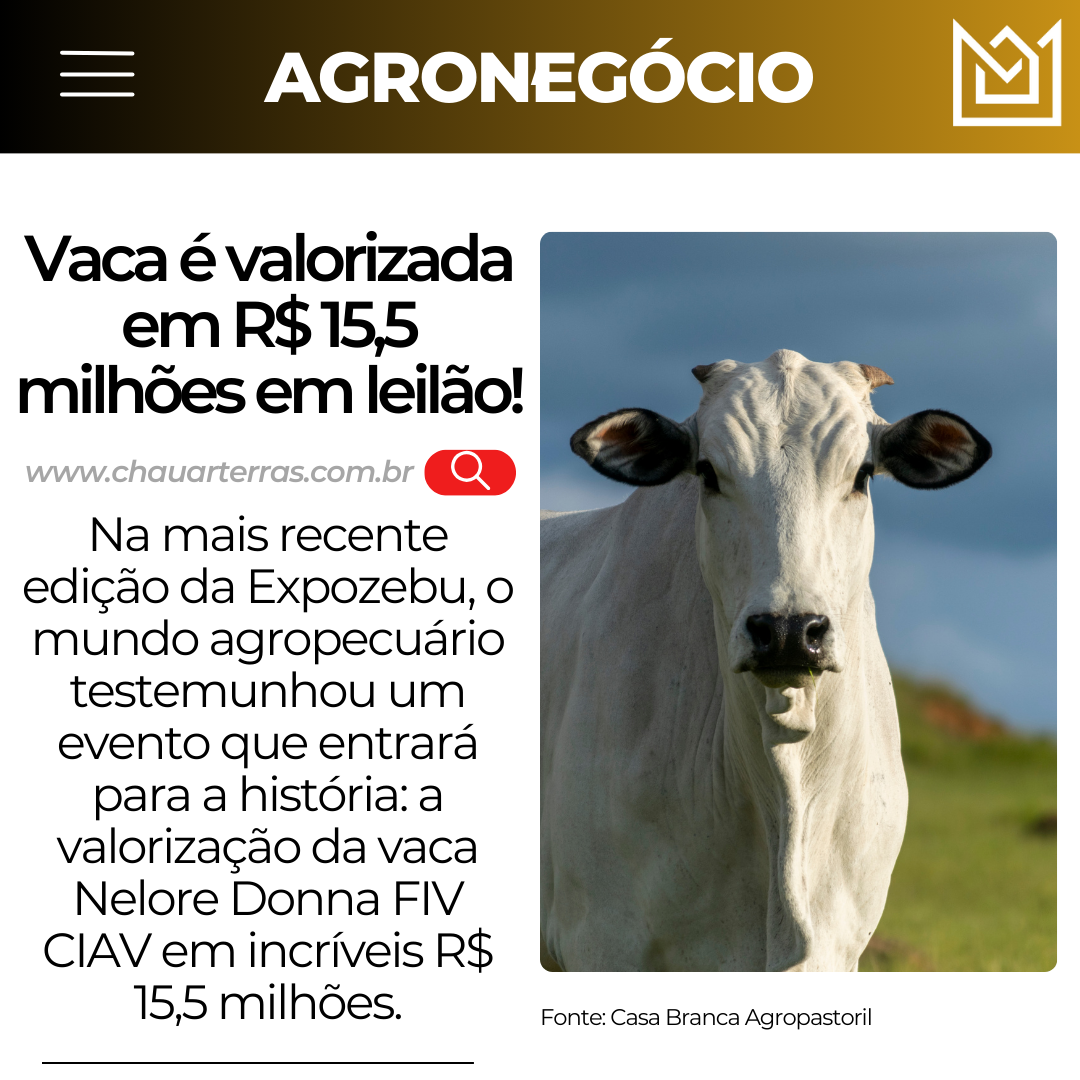 Vaca é valorizada em R$ 15,5 milhões em leilão!