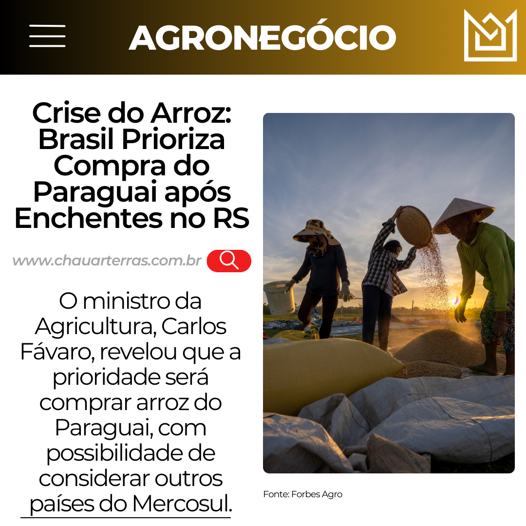 Crise do Arroz: Brasil Prioriza Compra do Paraguai após Enchentes no RS, Revela Ministro da Agricultura
