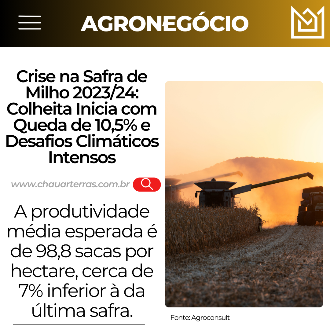 Crise na Safra de Milho 2023/24: Colheita Inicia com Queda de 10,5% e Desafios Climáticos Intensos
