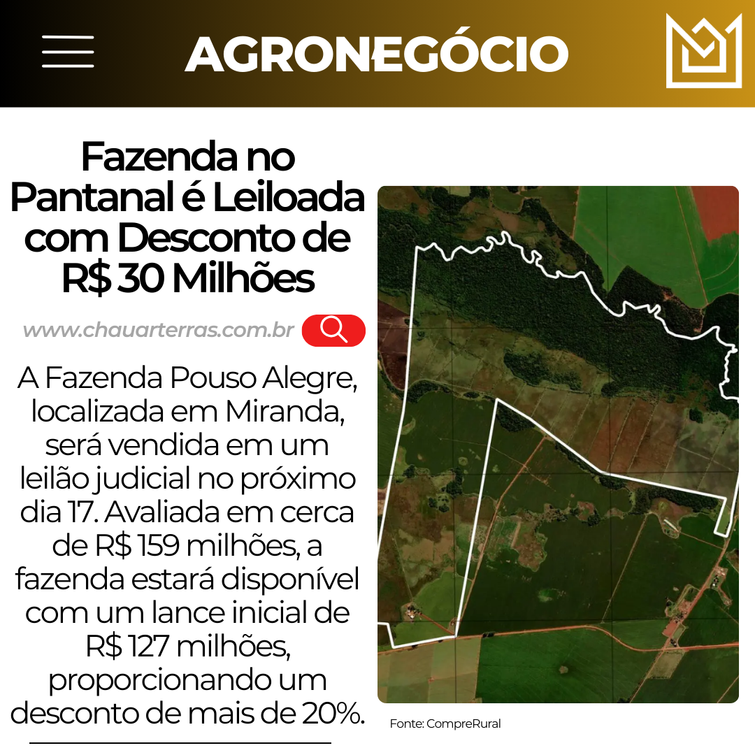 Fazenda no Pantanal é Leiloada com Desconto de R$ 30 Milhões