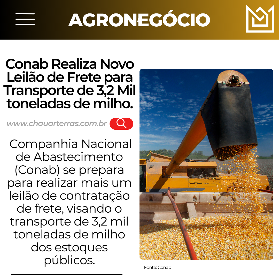 Conab Realiza Novo Leilão de Frete para Transporte de Milho