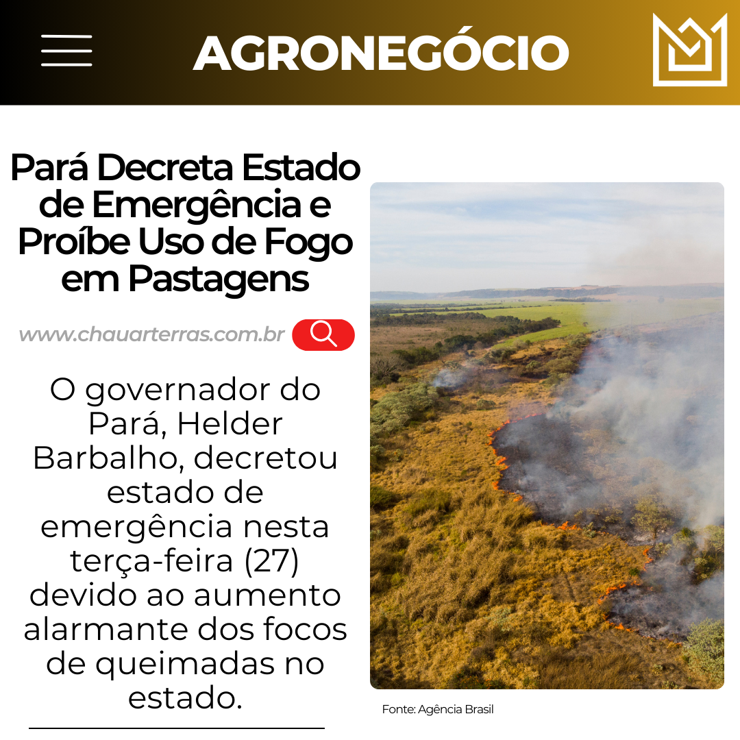 Pará Decreta Estado de Emergência e Proíbe Uso de Fogo em Pastagens