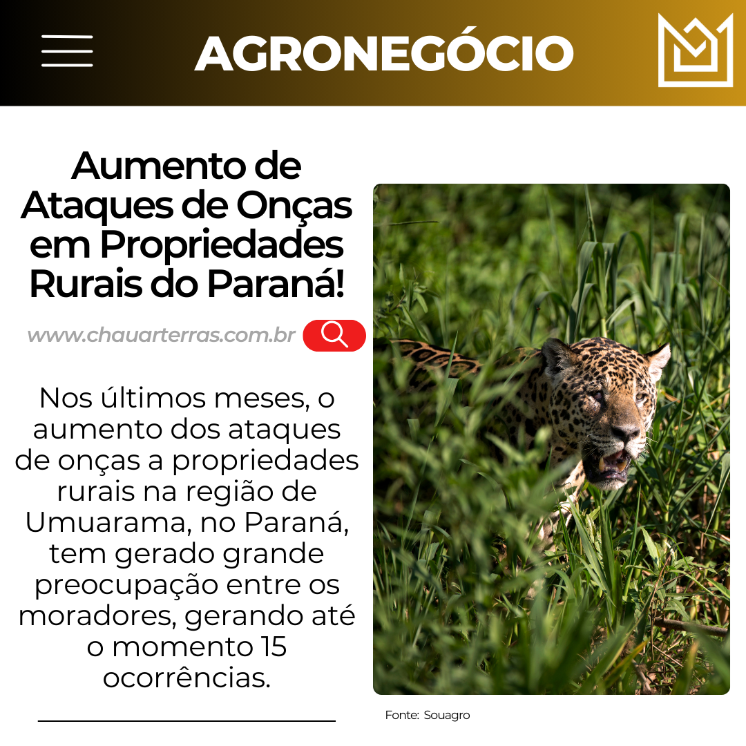 Aumento de Ataques de Onças em Propriedades Rurais do Paraná.