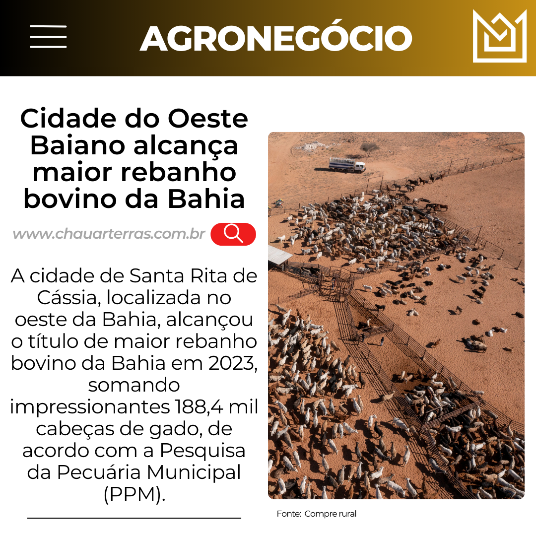 Cidade do Oeste Baiano alcança maior rebanho bovino da Bahia
