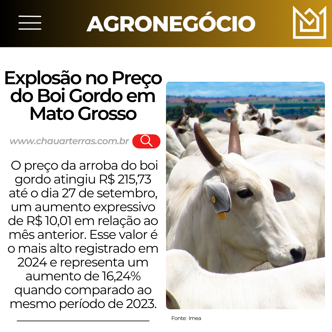 Explosão no Preço do Boi Gordo em Mato Grosso!