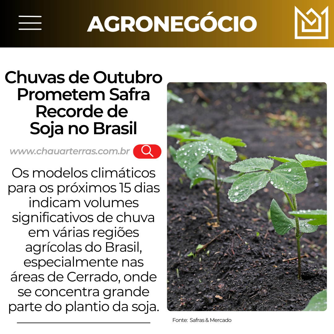 Chuvas de Outubro Prometem Safra Recorde de Soja no Brasil