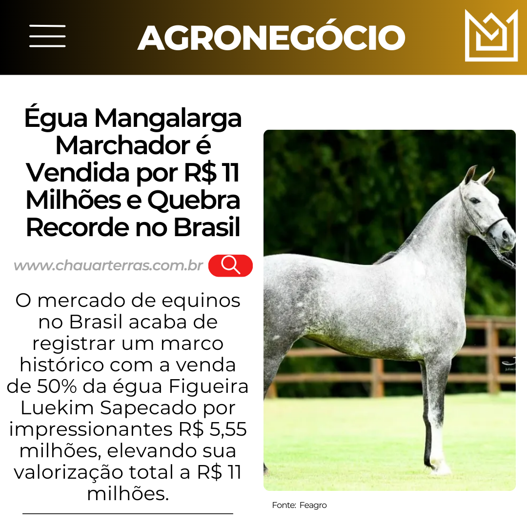 Égua Mangalarga Marchador é Vendida por R$ 11 Milhões e Quebra Recorde no Brasil