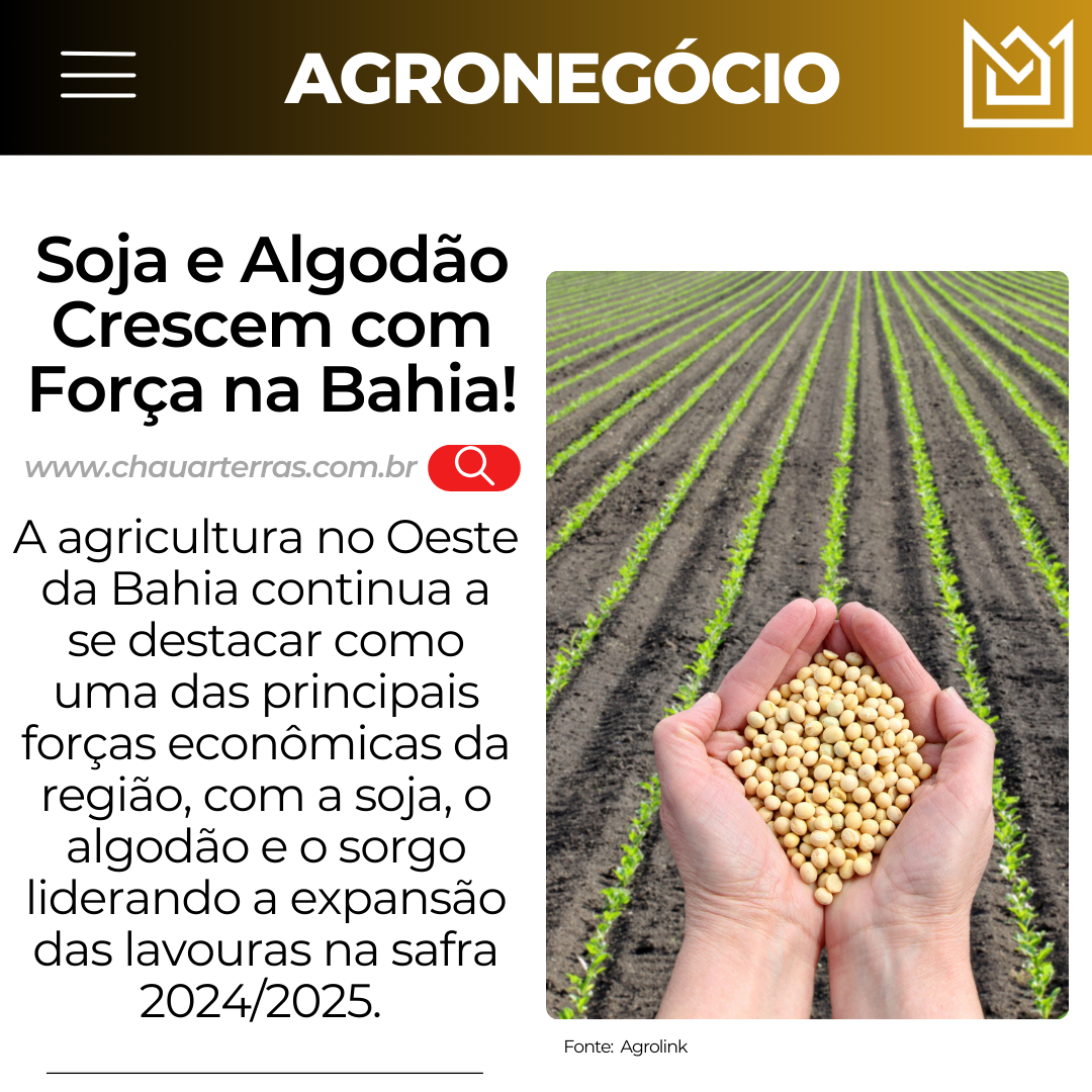 Soja e Algodão Crescem com Força na Bahia