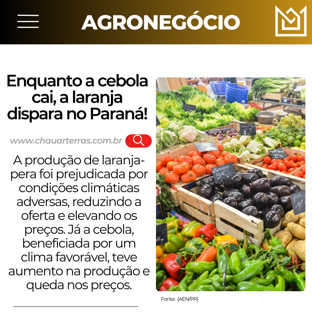 Enquanto a cebola cai, a laranja dispara no Paraná