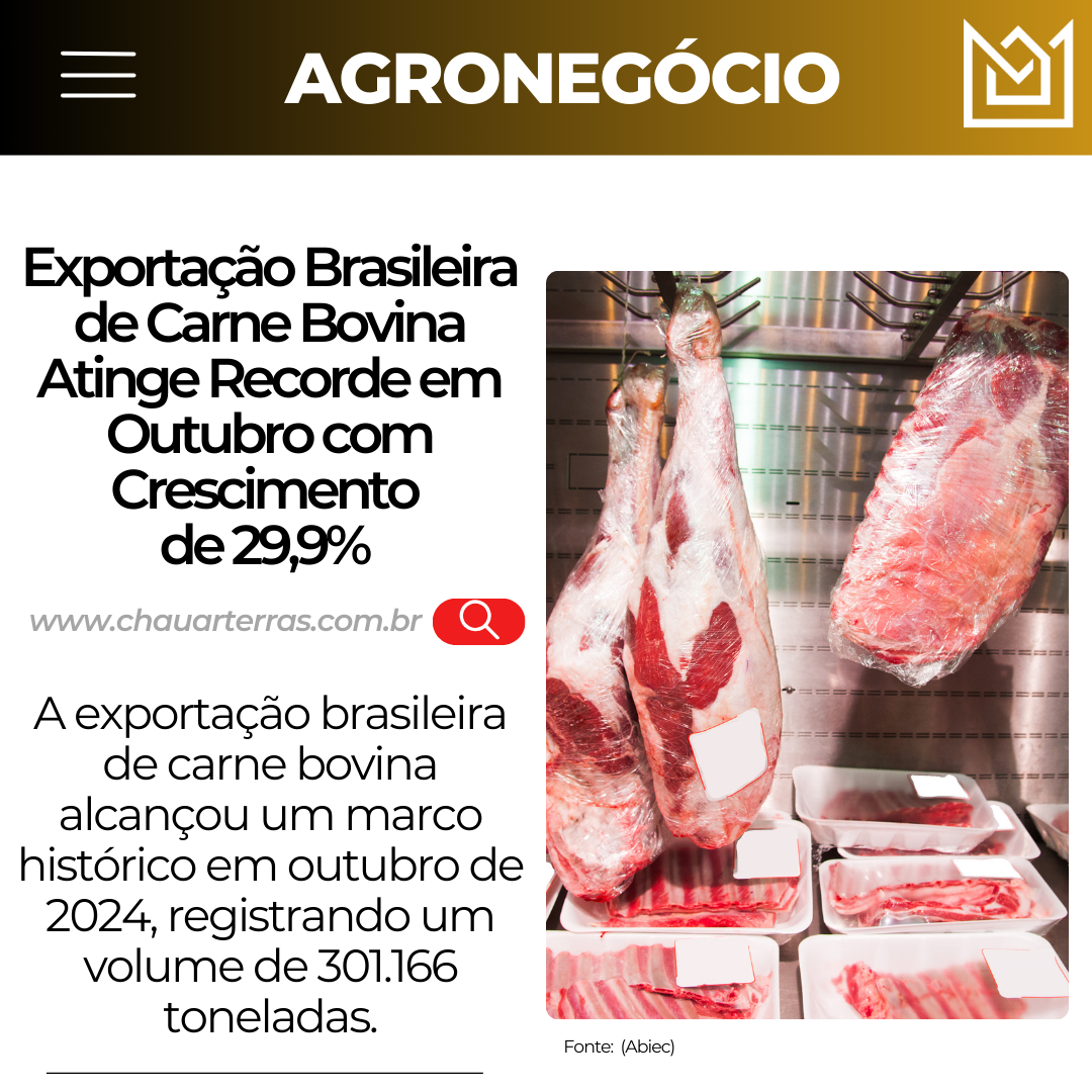 Exportação Brasileira de Carne Bovina Atinge Recorde em Outubro com Crescimento de 29,9% no Acumulado de 2024