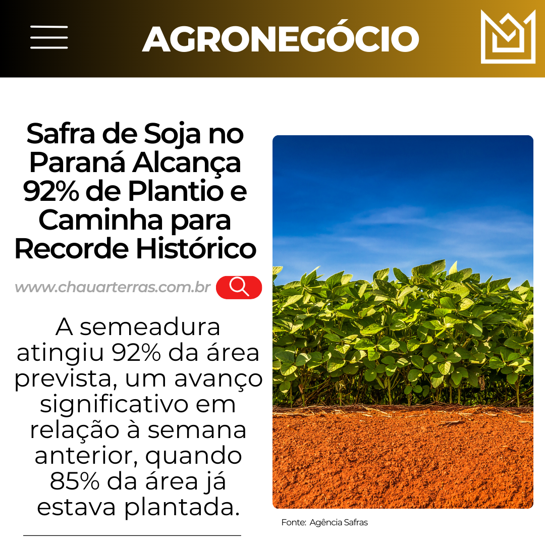 Safra de Soja no Paraná Alcança 92% de Plantio e Caminha para Recorde Histórico