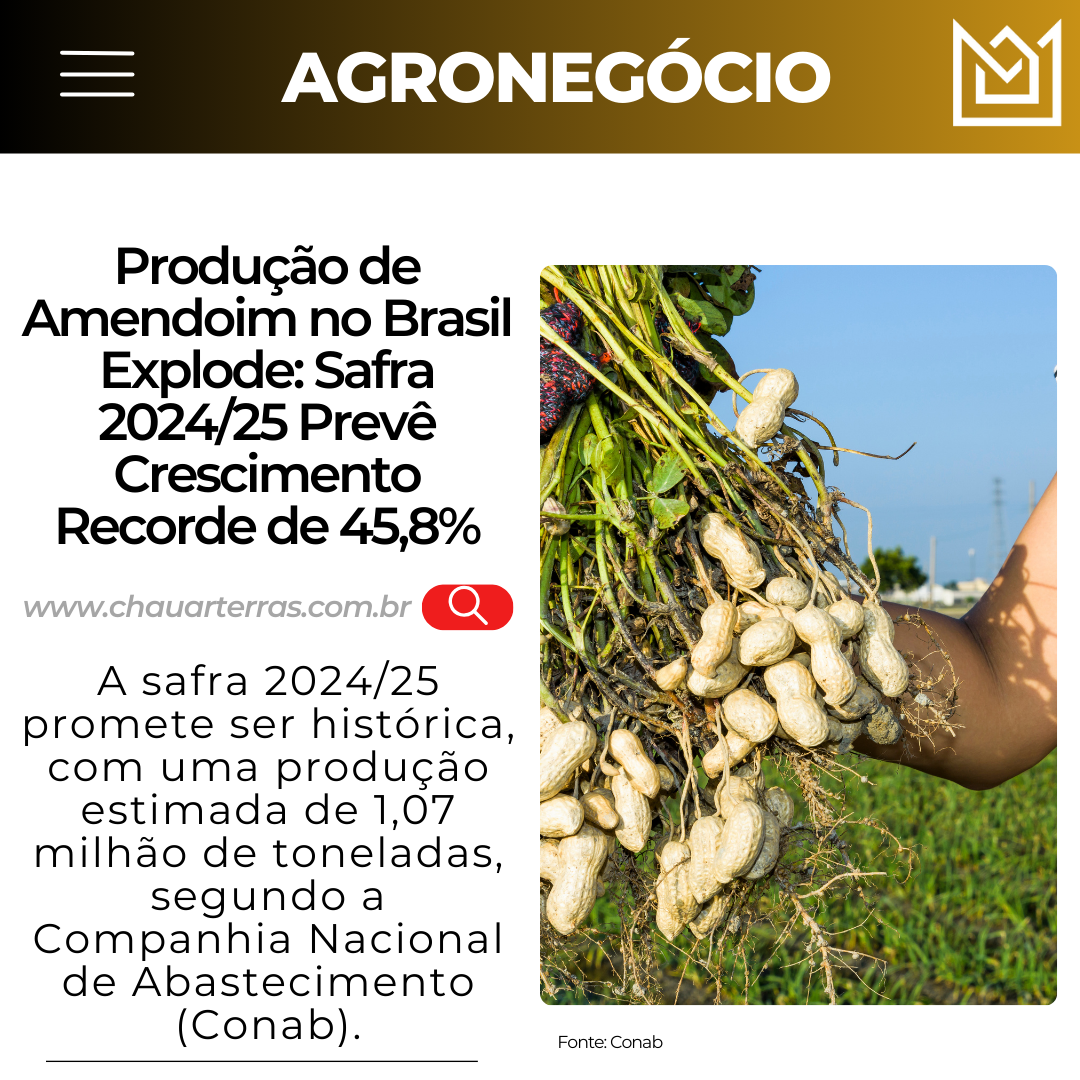 Produção de Amendoim no Brasil Explode