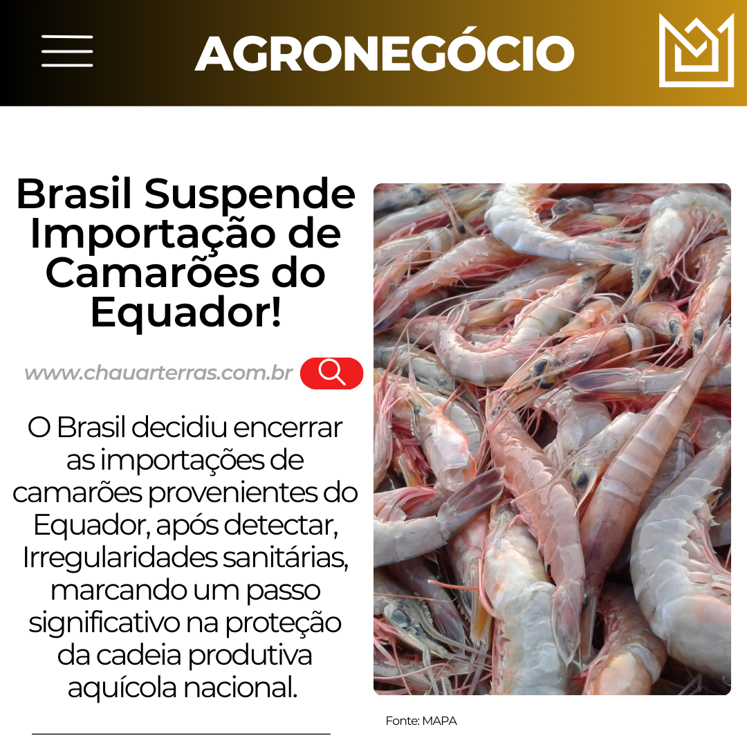 Fim dos Camarões Equatorianos no Brasil