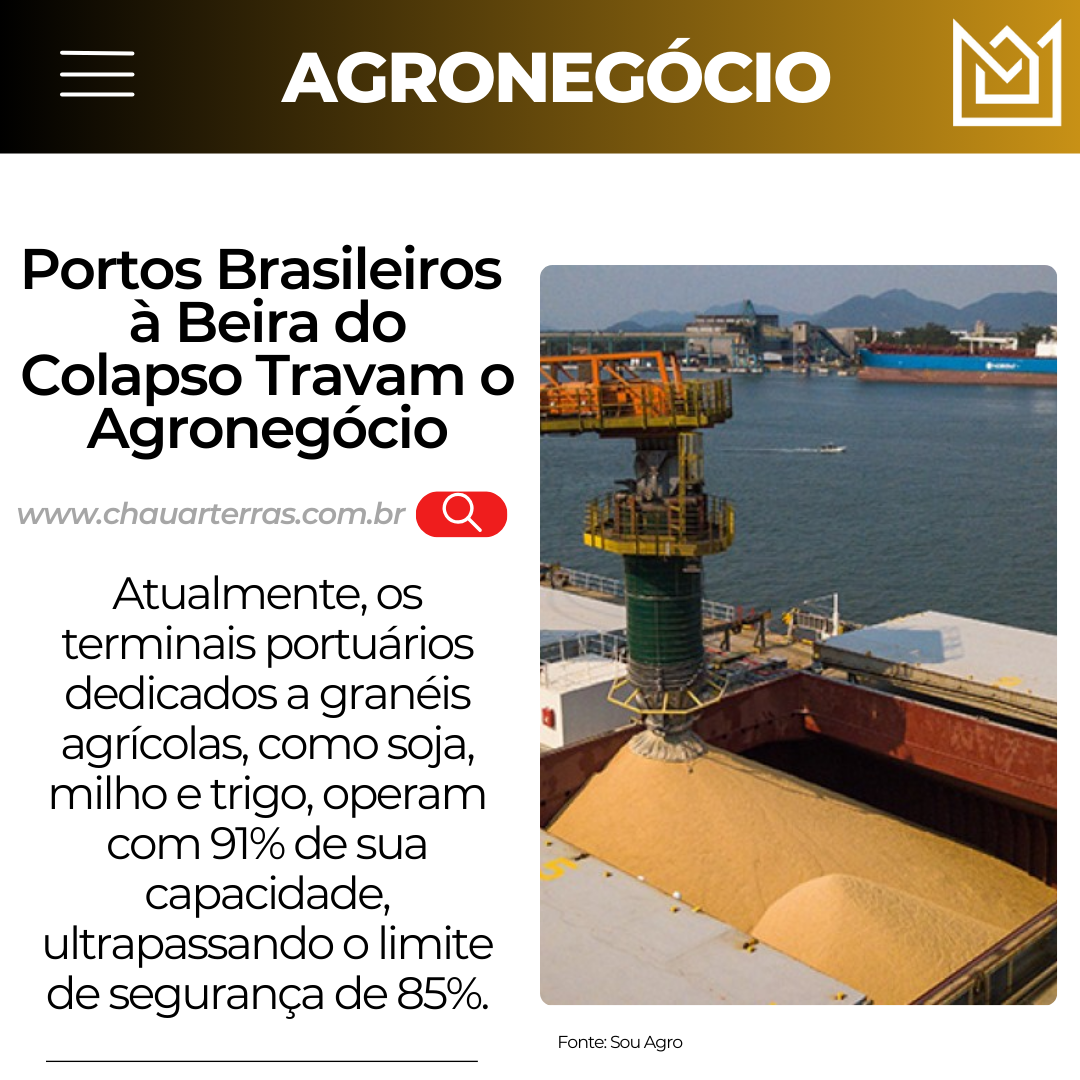 Portos Brasileiros à Beira do Colapso