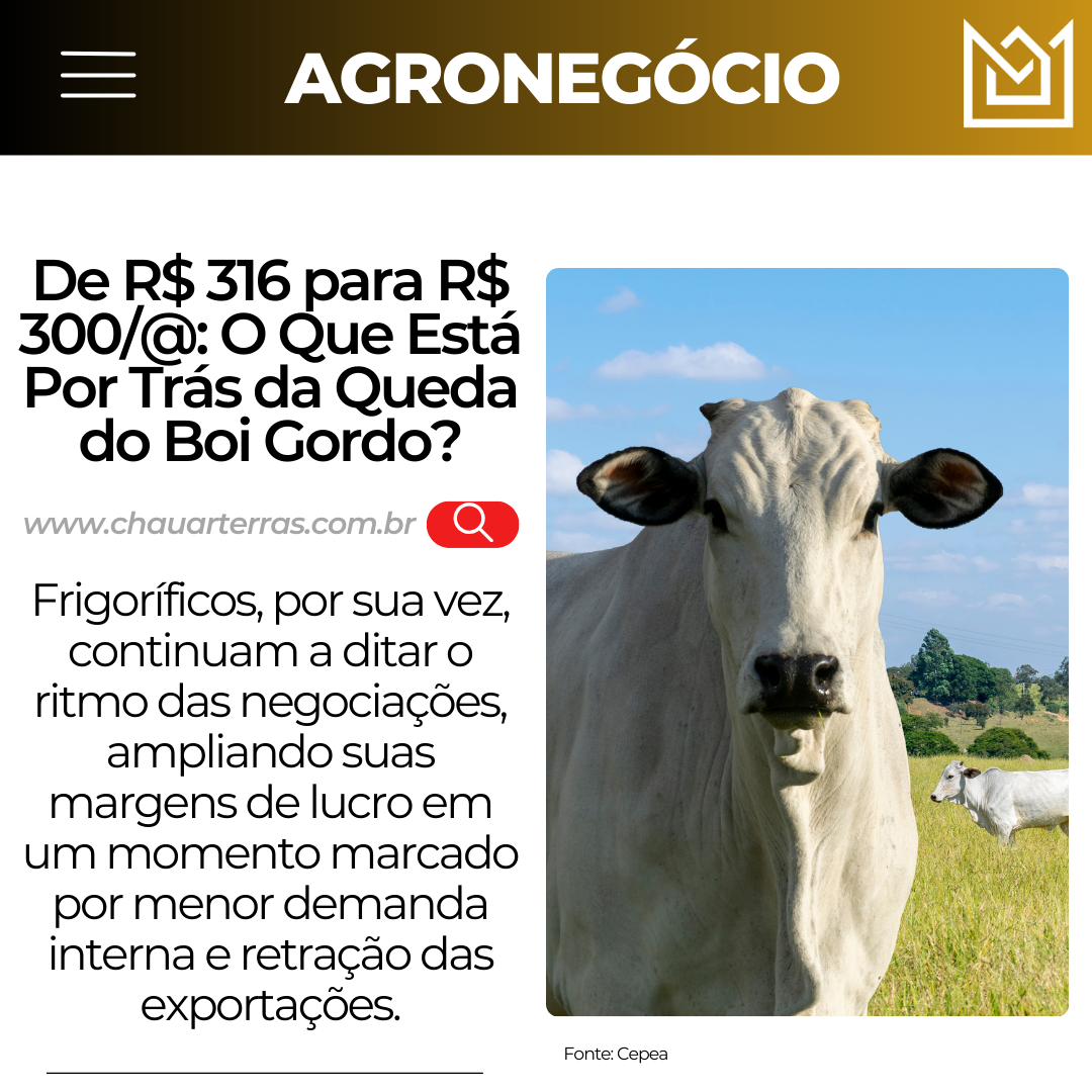 De R$ 316 para R$ 300/@