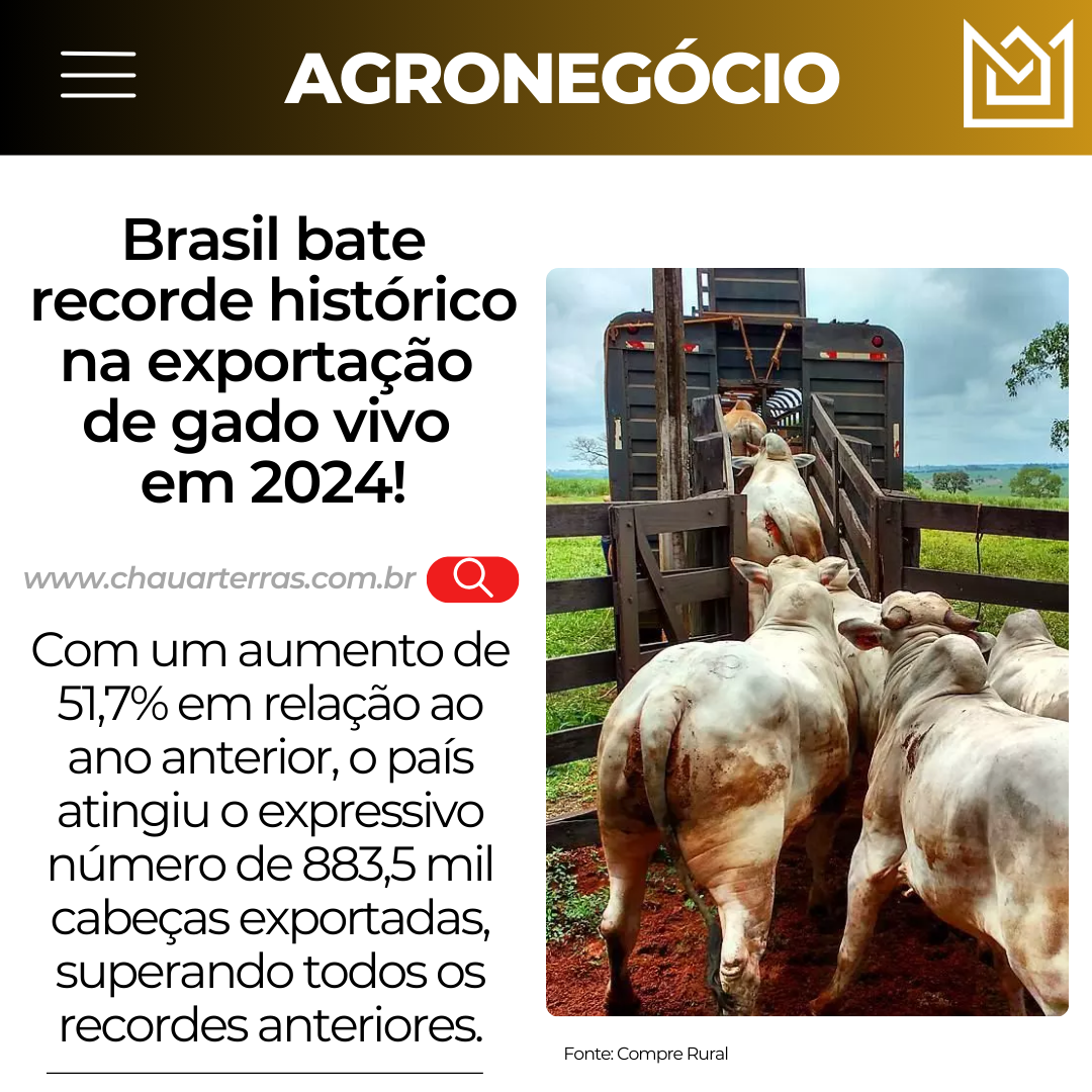 Brasil explode exportação de gado vivo e bate recorde histórico!