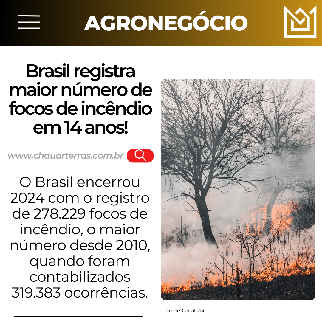 Brasil registra maior número de focos de incêndio em 14 anos