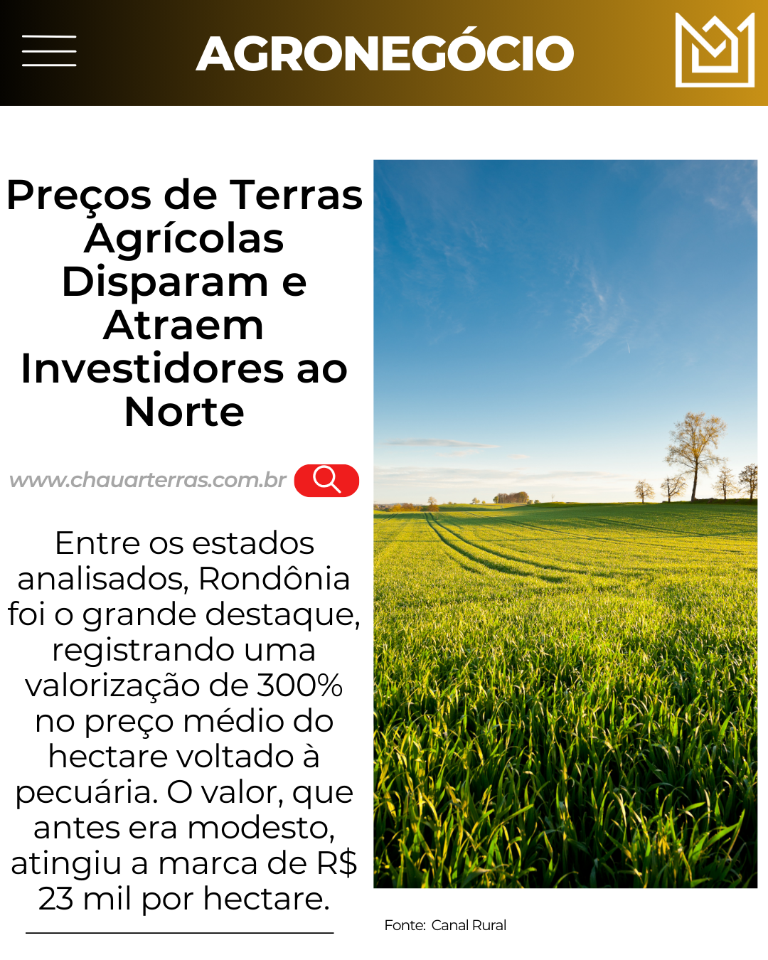  Preços de Terras Agrícolas Disparam e Atraem Investidores ao Norte